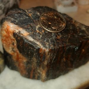 Black Petrified Tiger Wood